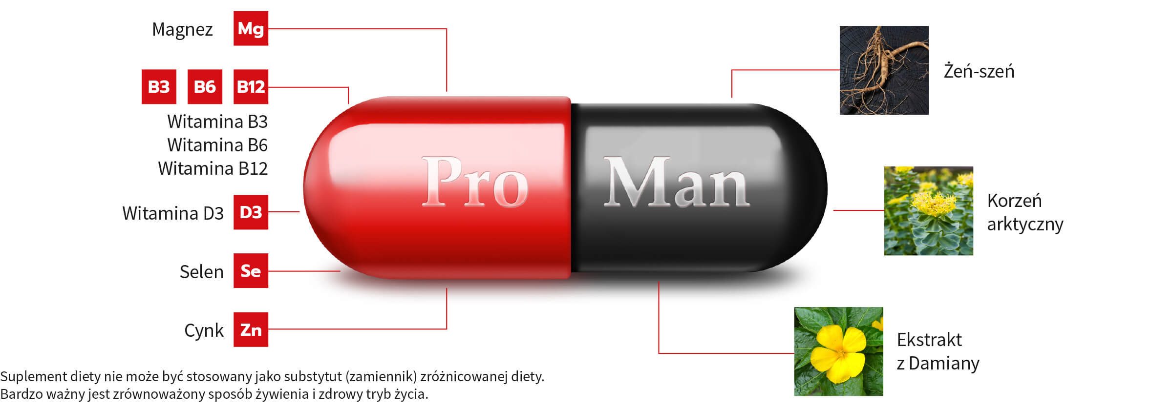 ProMan® Plus - składniki